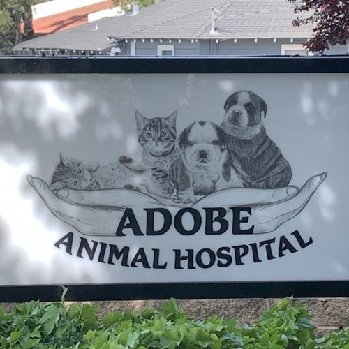 Building Signs